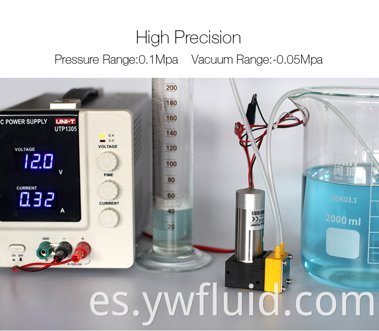 Bomba de diafragma de agua de aire sin escobillas sin escobillas de doble cabeza con 12V/24 V de buena calidad